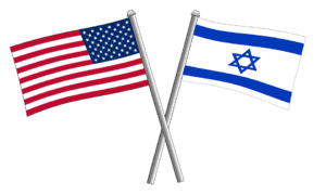 US expert legal opinion